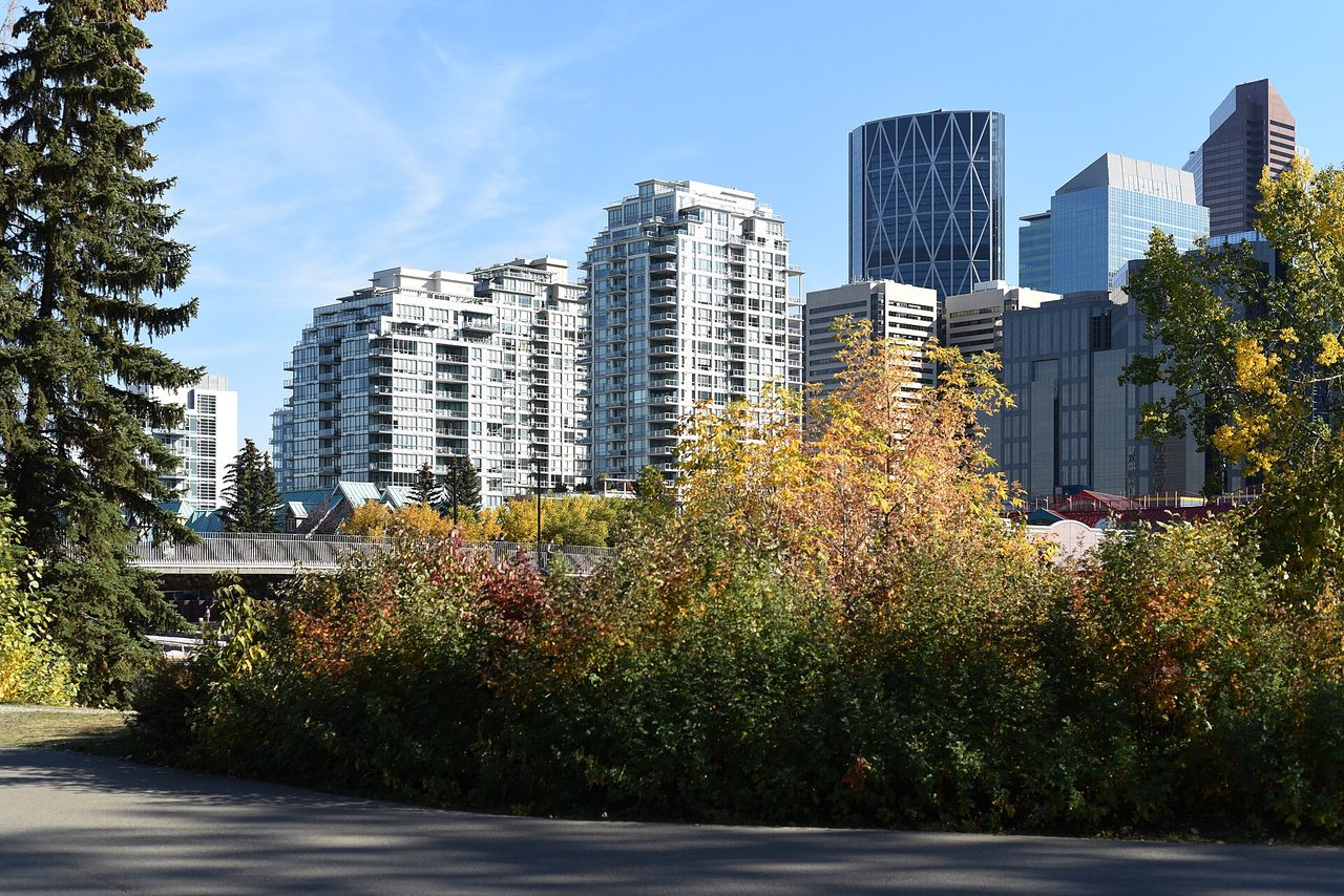 Green pathways and mature trees in Prince's Island Park on the Bow River