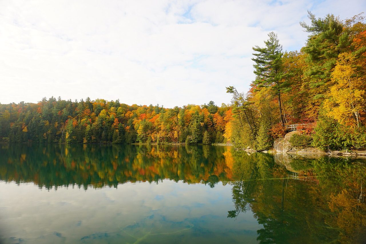 Pink Lake glowing green in autumn surrounded by forest in Gatineau Park