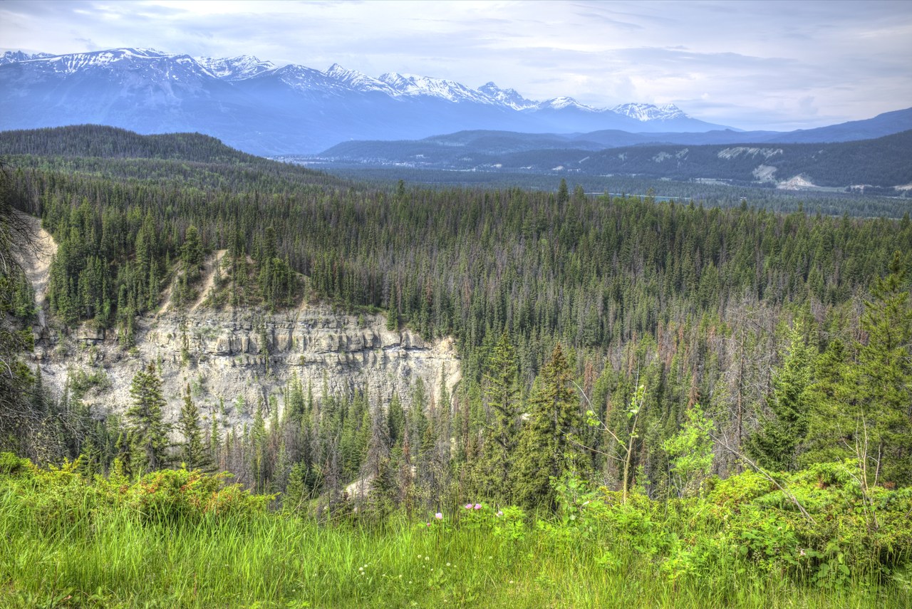 Deep narrow gorge of Maligne Canyon with turquoise water below