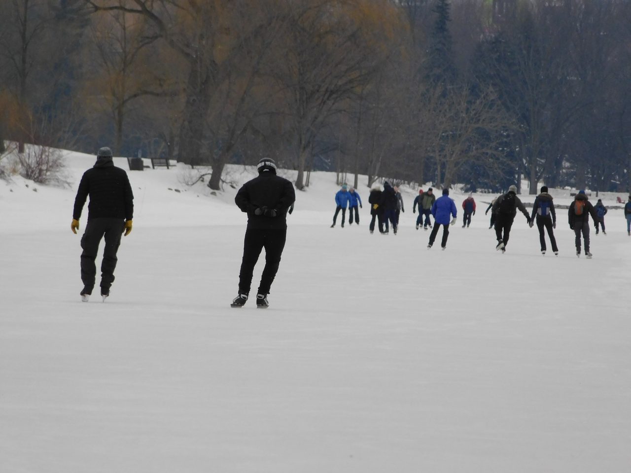 Skaters gliding along the Rideau Canal Skateway in winter with Ottawa landmarks in the distance