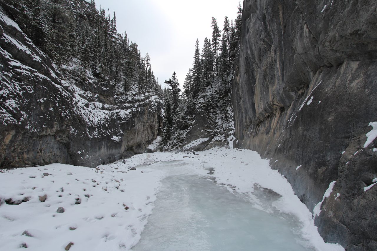 Narrow rock walls of Grotto Canyon on the hiking trail near Canmore