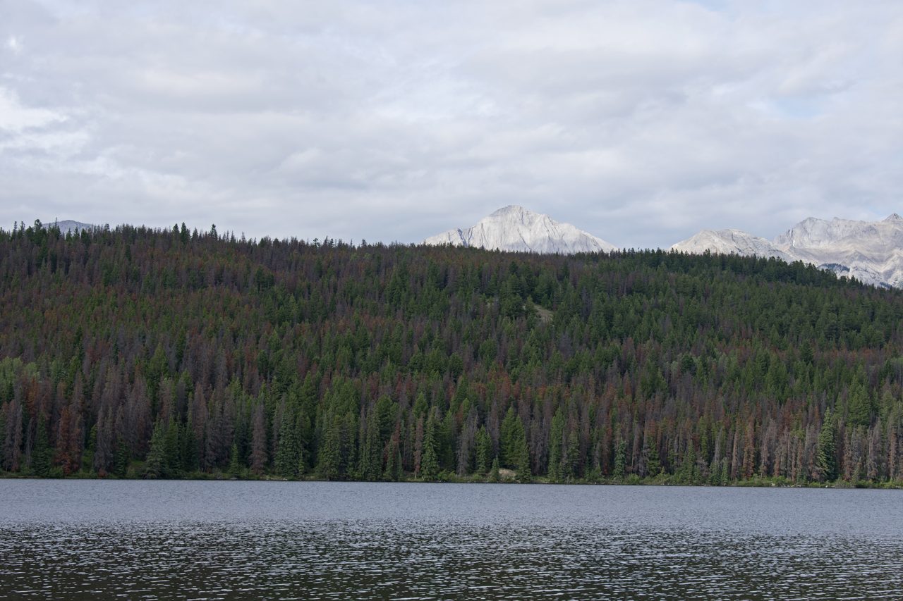 Southern shore of Pyramid Lake with Pyramid Mountain rising above calm evening water