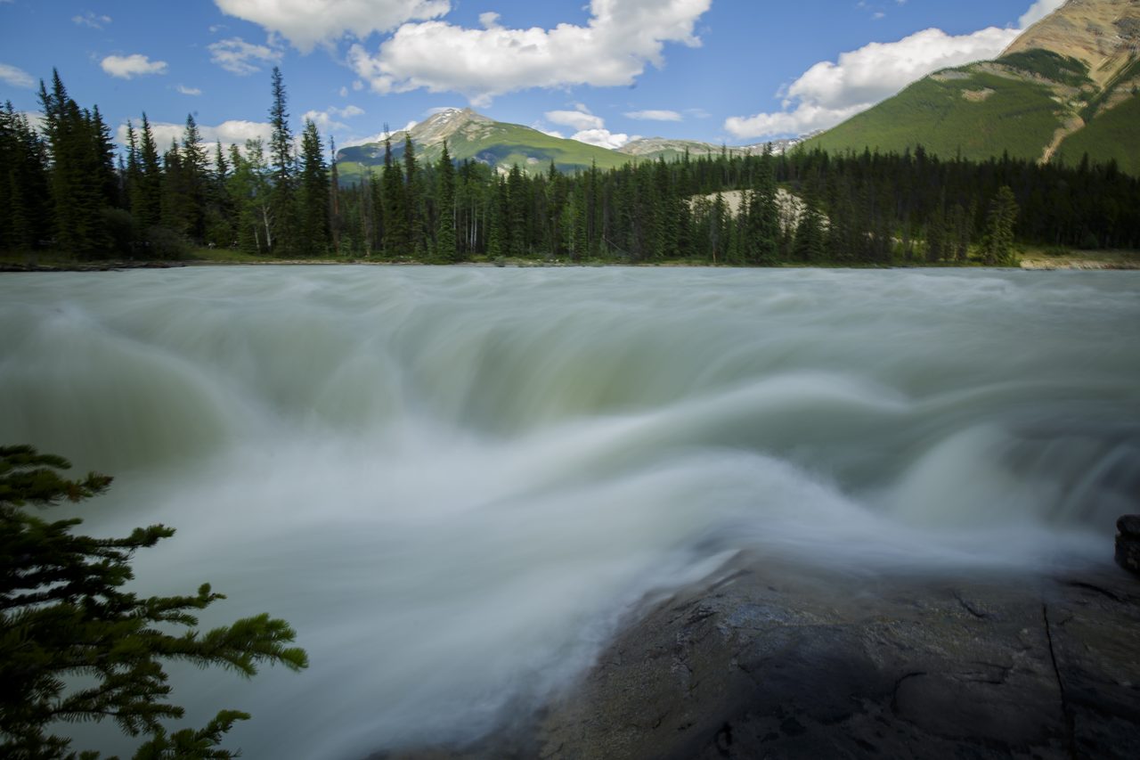 Athabasca Falls thundering through a limestone canyon in Jasper National Park