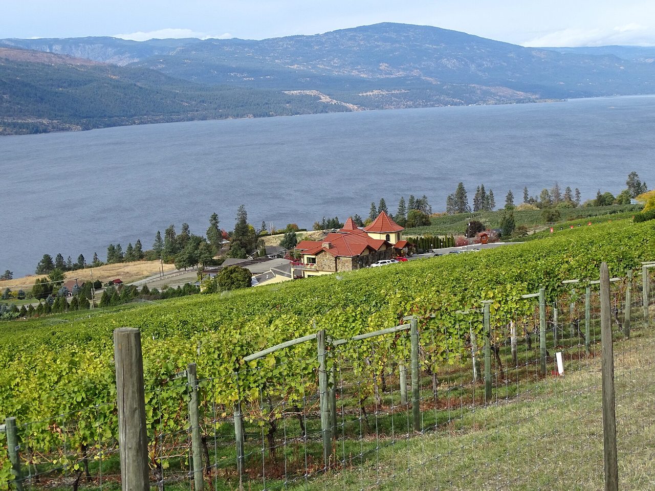 Okanagan Lake shoreline on a summer afternoon