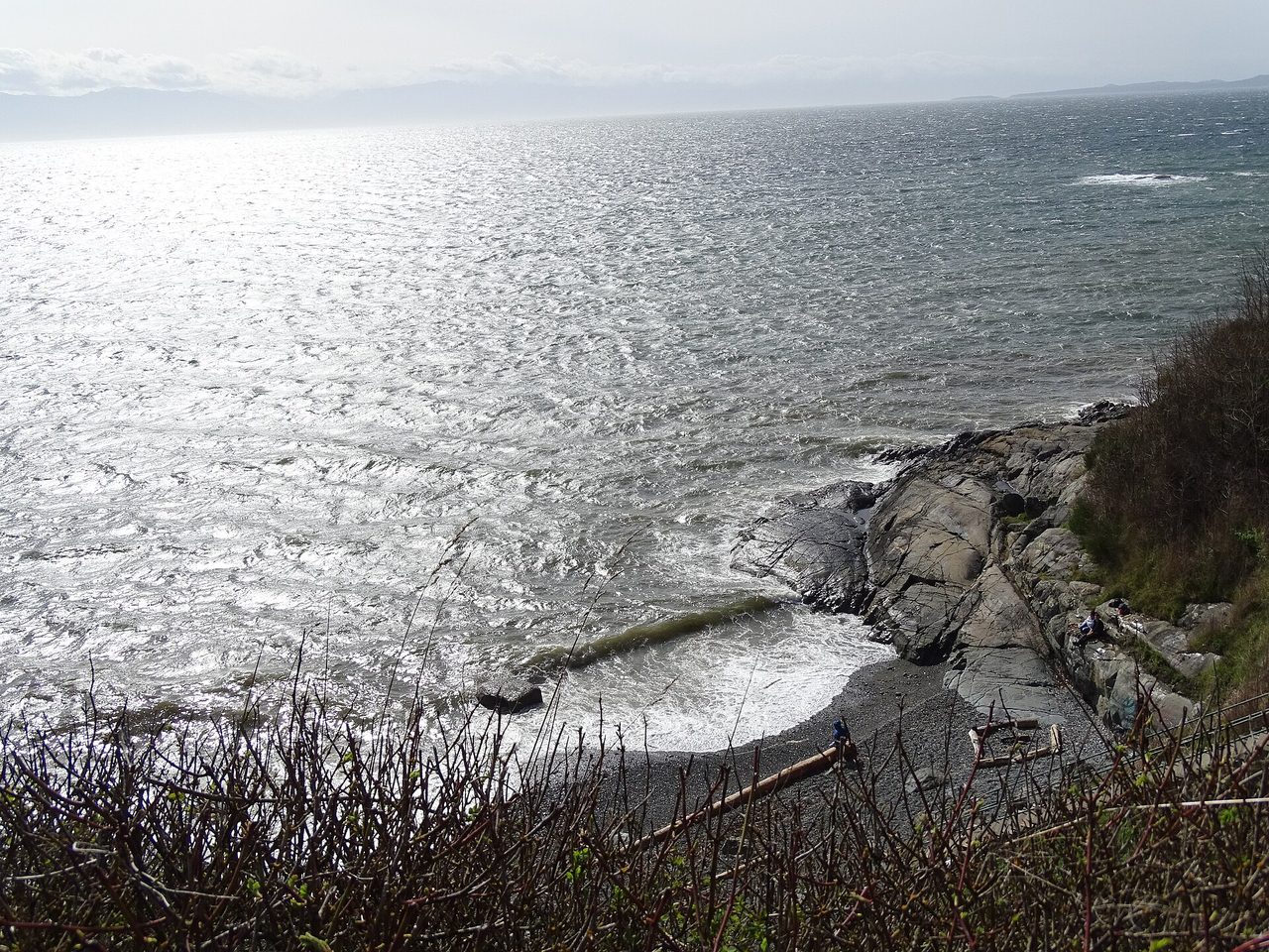 Open ocean stretching to the horizon from Beacon Hill Park in Victoria