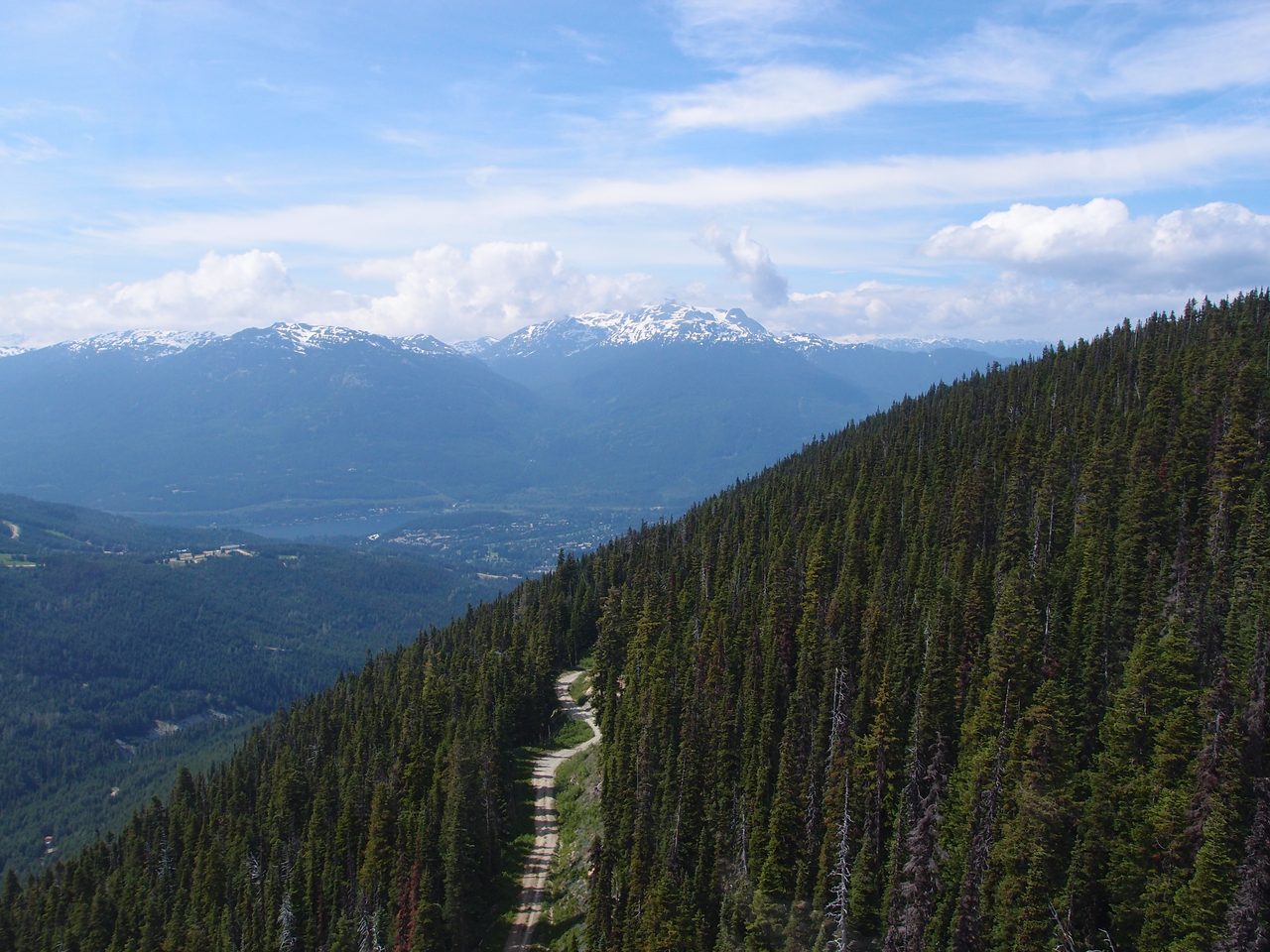 View from the PEAK 2 PEAK gondola over forested mountain slopes toward snowcapped Coast Mountain peaks