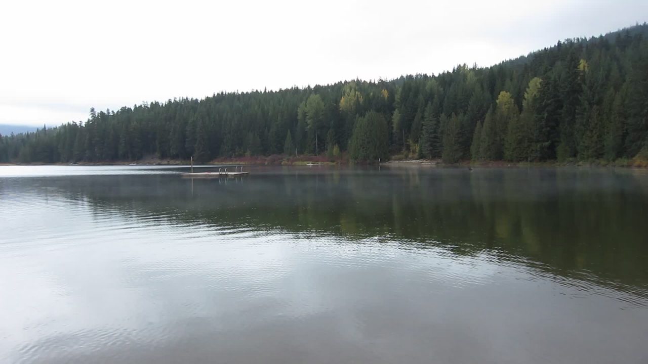 Low morning mist drifting over Lost Lake with a forested shoreline and wooden dock near Whistler
