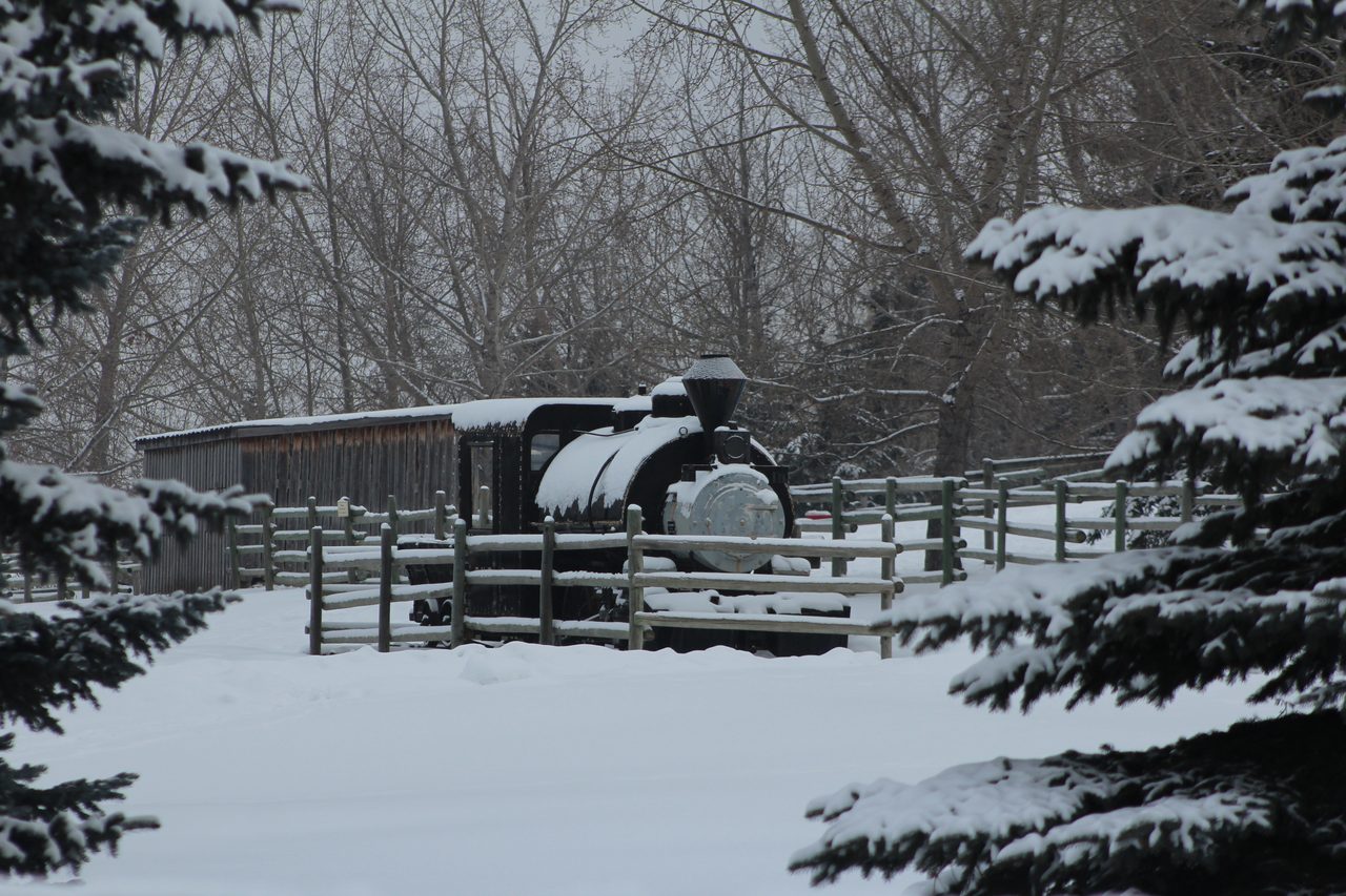 Steam train on the tracks at Heritage Park Historical Village in Calgary