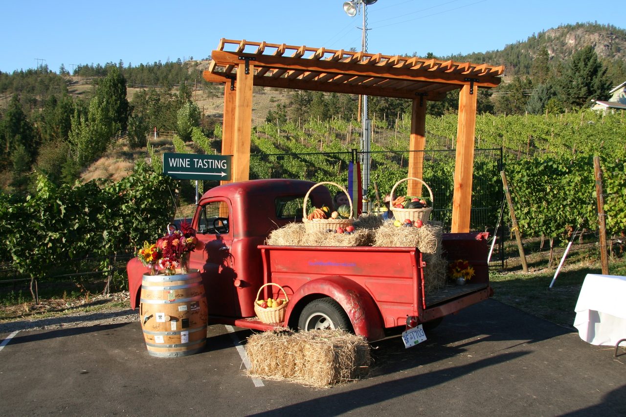 Wine tasting in an Okanagan winery with glasses lined up on a wooden bar