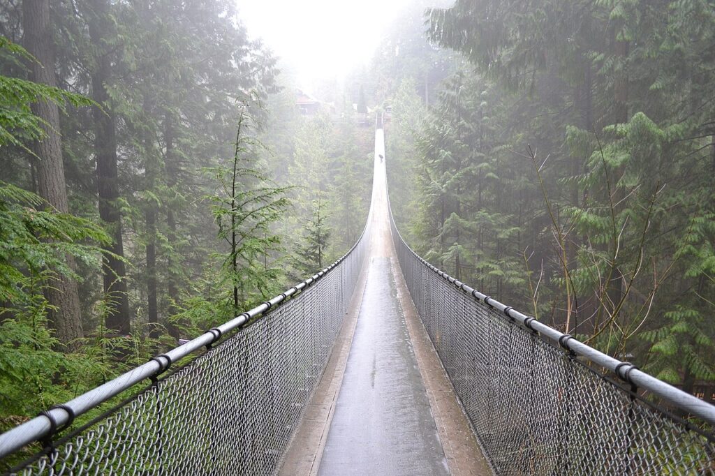 Capilano Suspension Bridge stretching through coastal rainforest