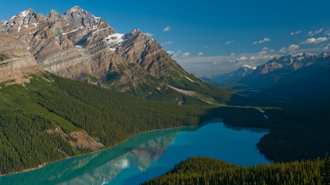 The wolf-head-shaped turquoise waters of Peyto Lake with Mount Patterson rising behind it on the Icefields Parkway