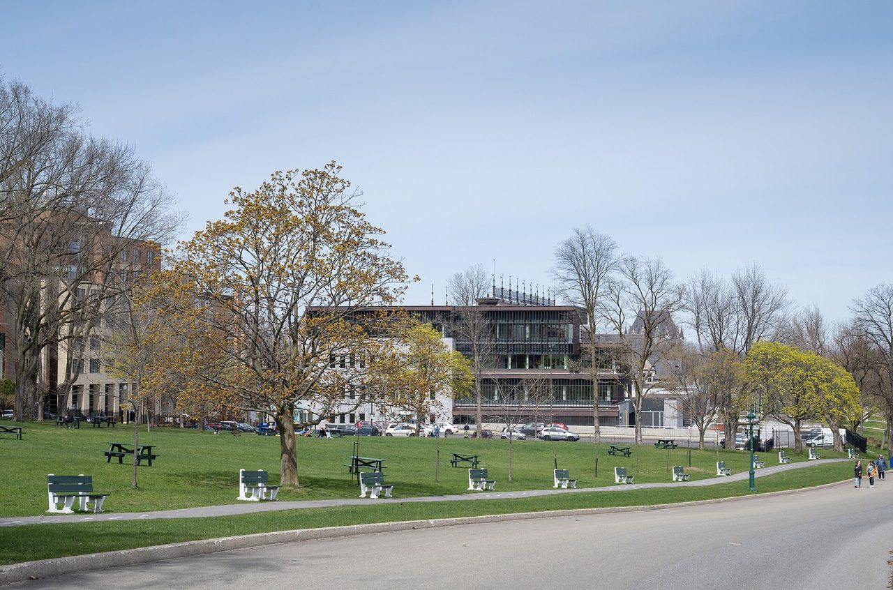 People relaxing on the grass of the Plains of Abraham park on a sunny day