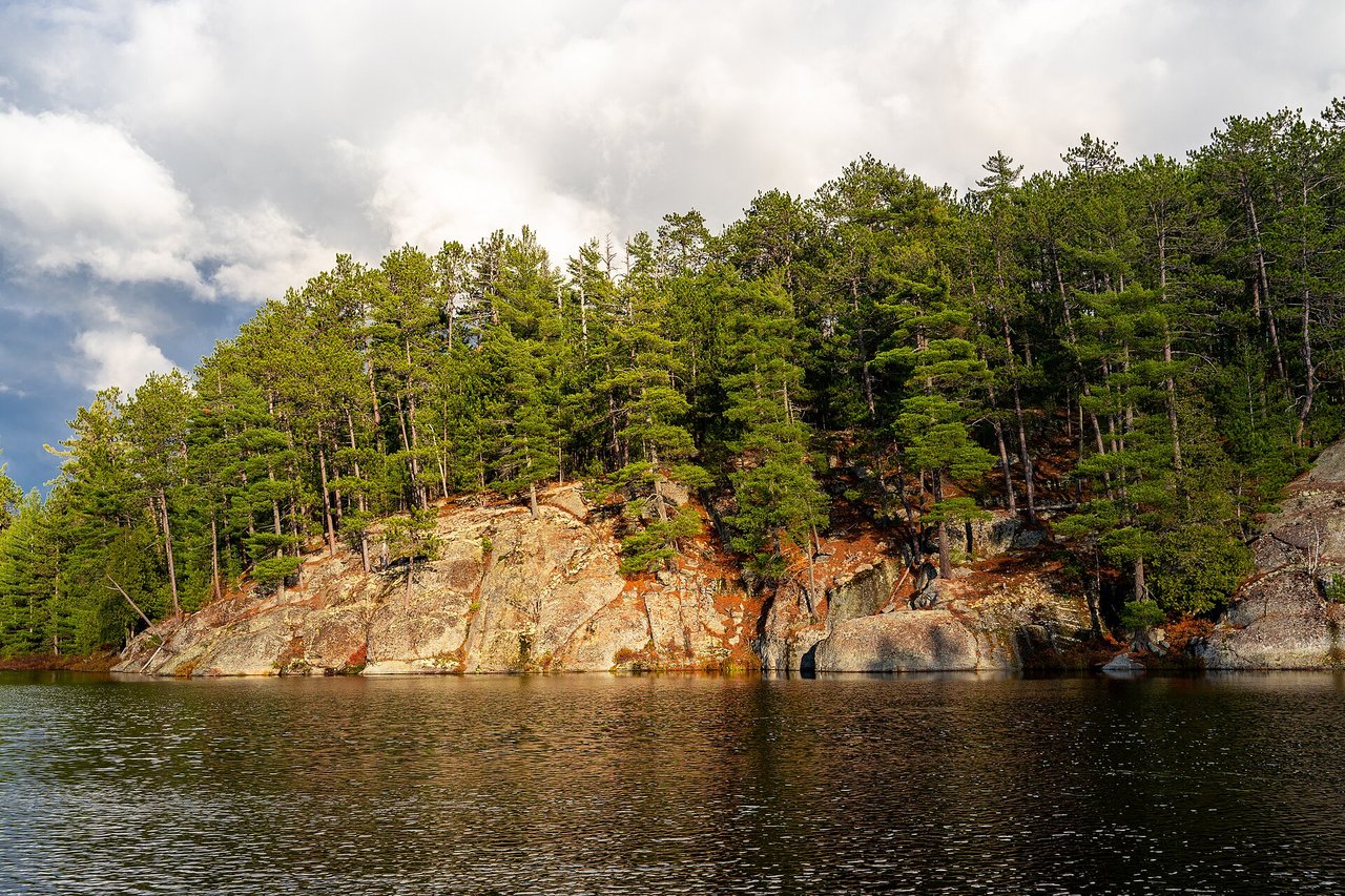 Autumn forest viewed from the Centennial Ridges Trail in Algonquin Provincial Park