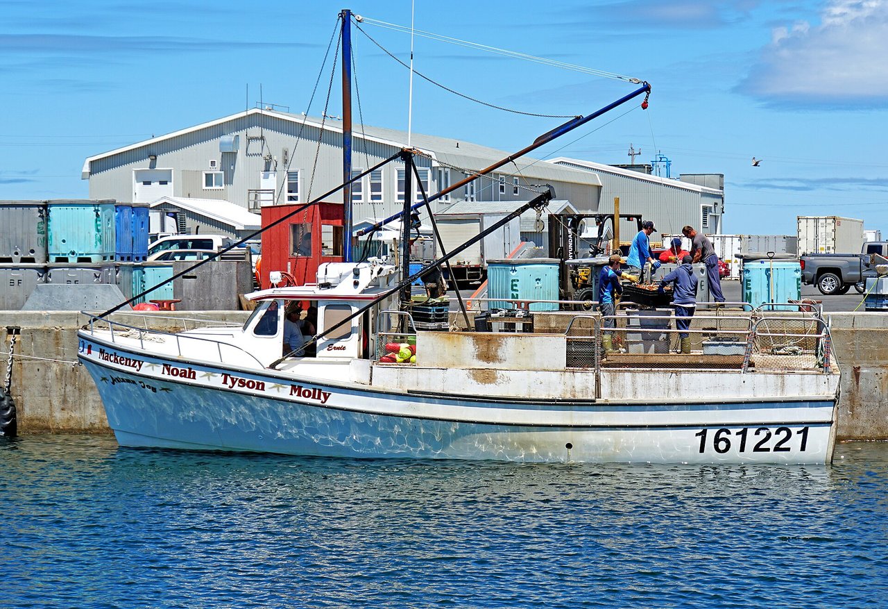 A fishing boat unloading crab at the wharf in Chéticamp, a traditional Acadian fishing village on the Cabot Trail