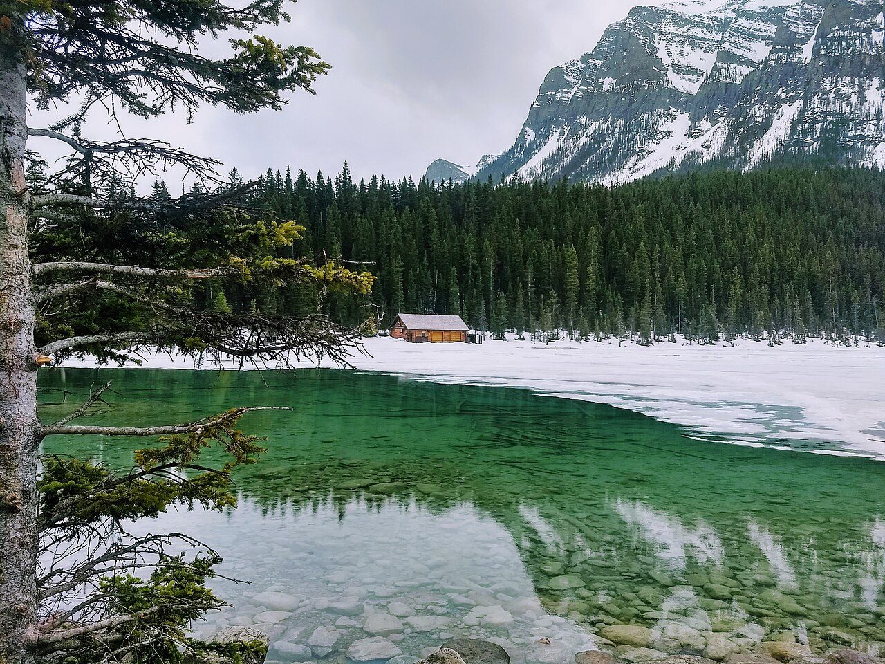 Lake Louise half-thawed in late spring, turquoise water clearing around the edges of the melting ice