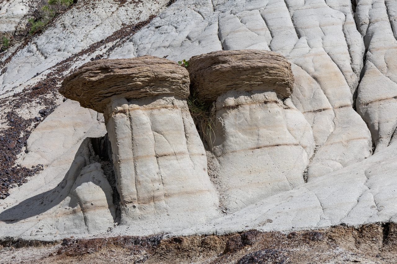 Tall hoodoo rock spires rising from striped badlands near Drumheller