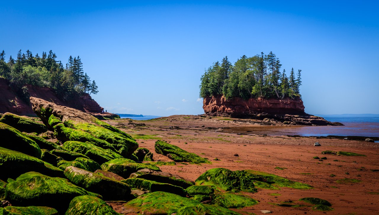 Flowerpot rocks and red mudflats exposed at low tide in Burntcoat Head Park