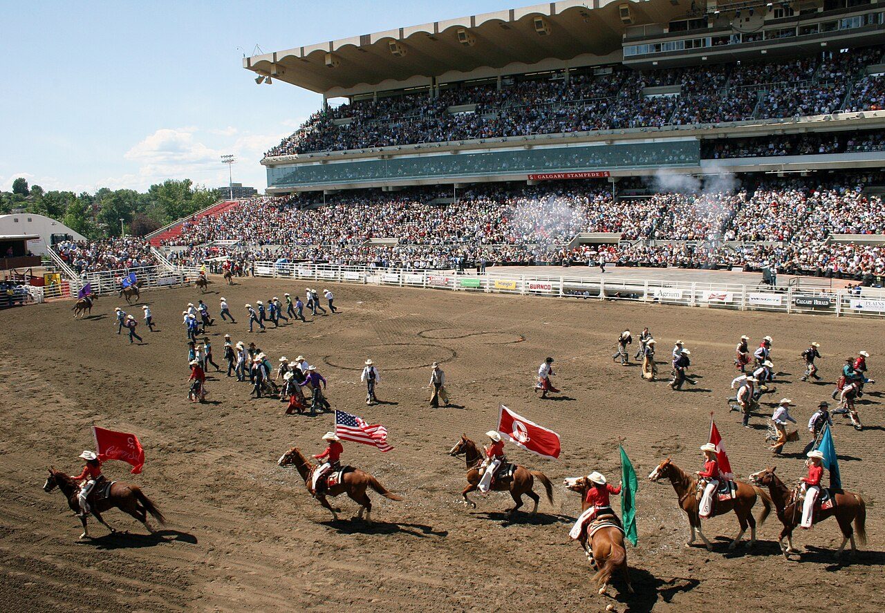 A rider competing at the Calgary Stampede rodeo in front of a packed grandstand