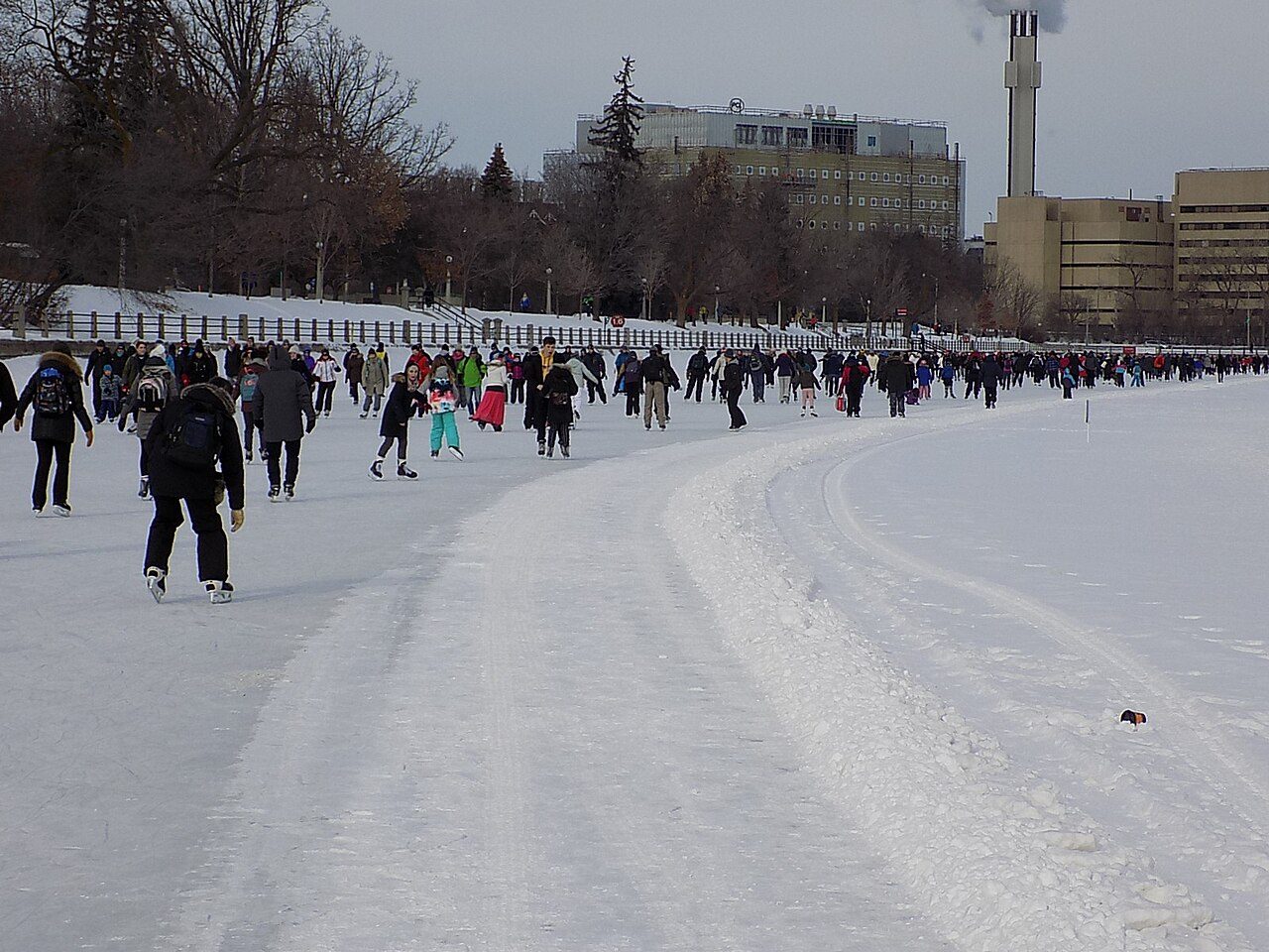 Skaters gliding along the Rideau Canal Skateway in downtown Ottawa in winter