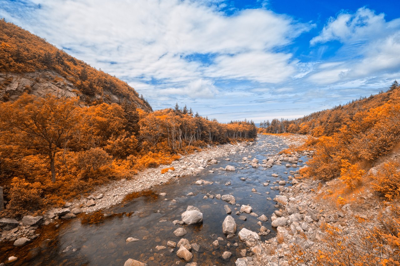Autumn foliage in brilliant red and orange across Nova Scotia hills during fall colour season