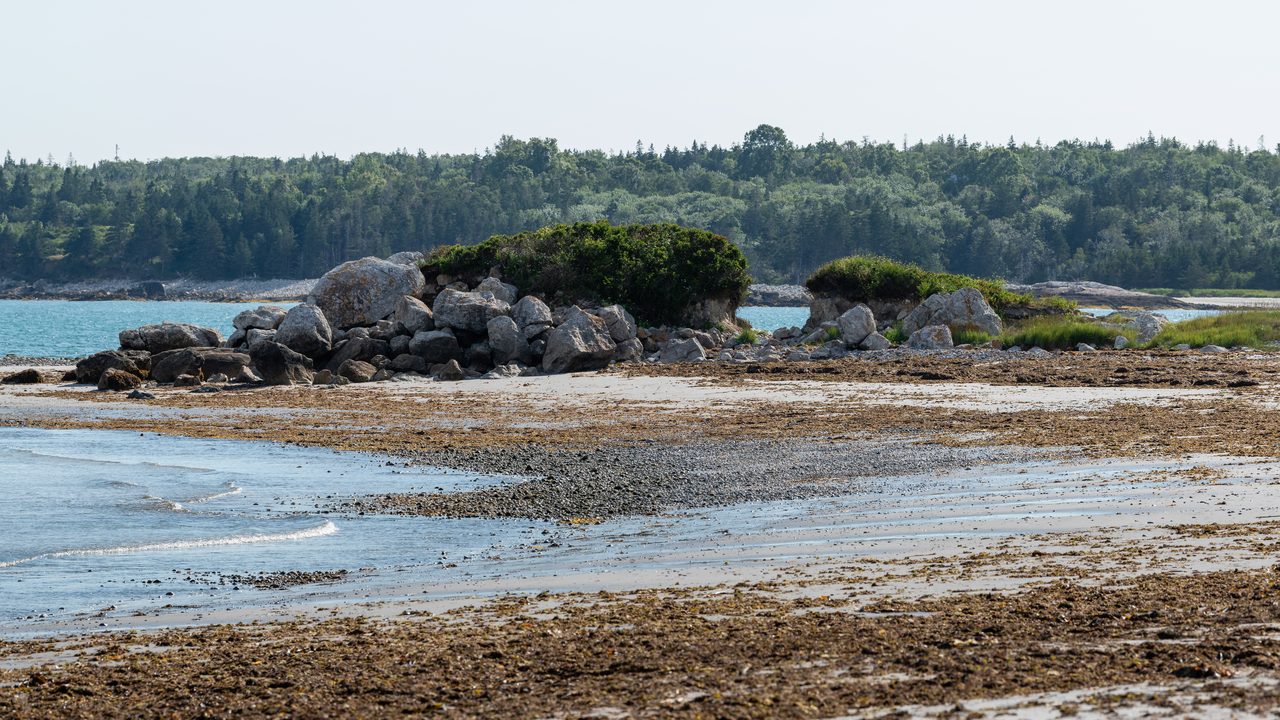 White sand and clear water at Hirtle's Beach, the starting point of the Gaff Point Trail