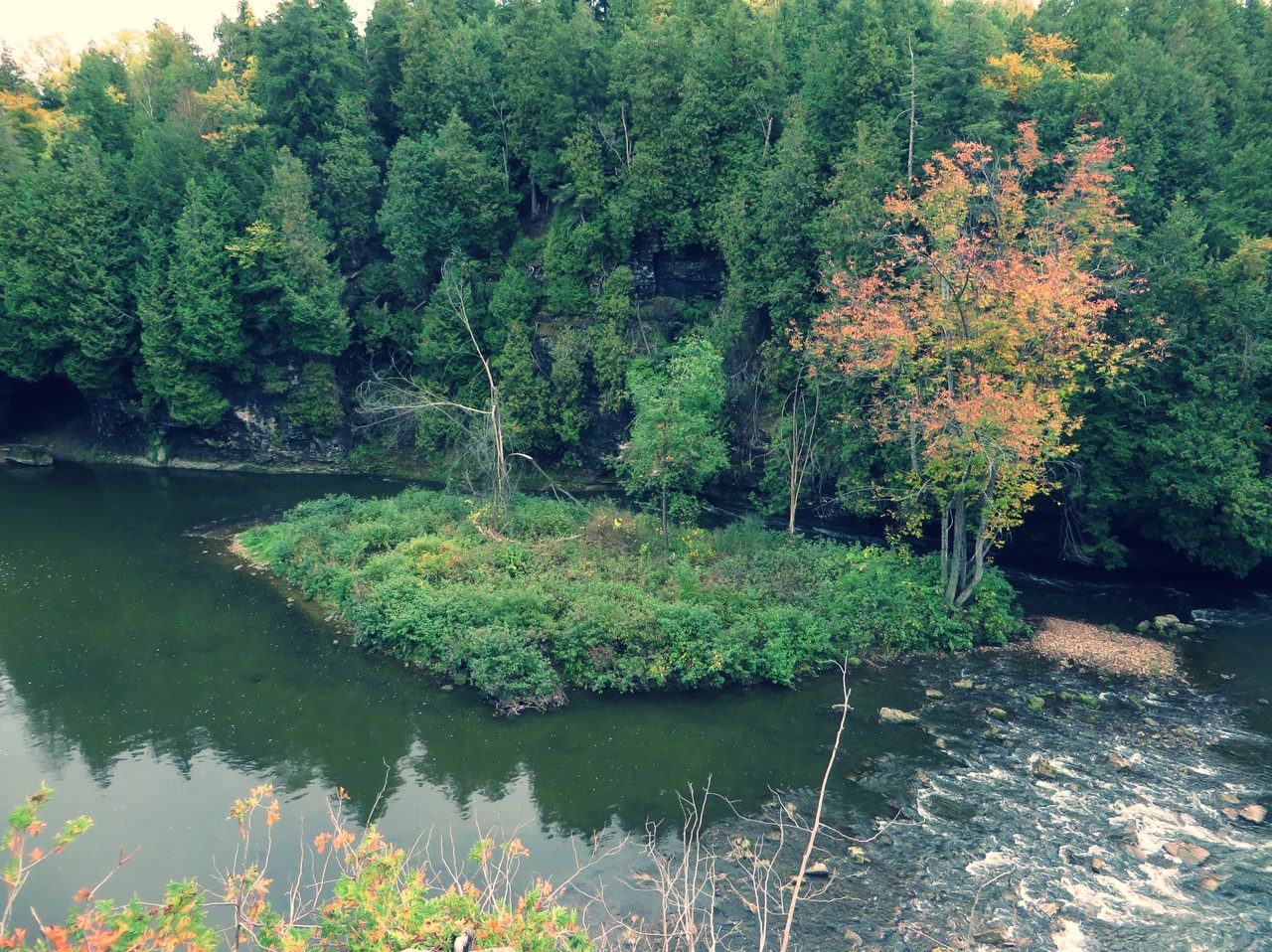 Layered limestone cliffs along the Grand River in Elora Gorge