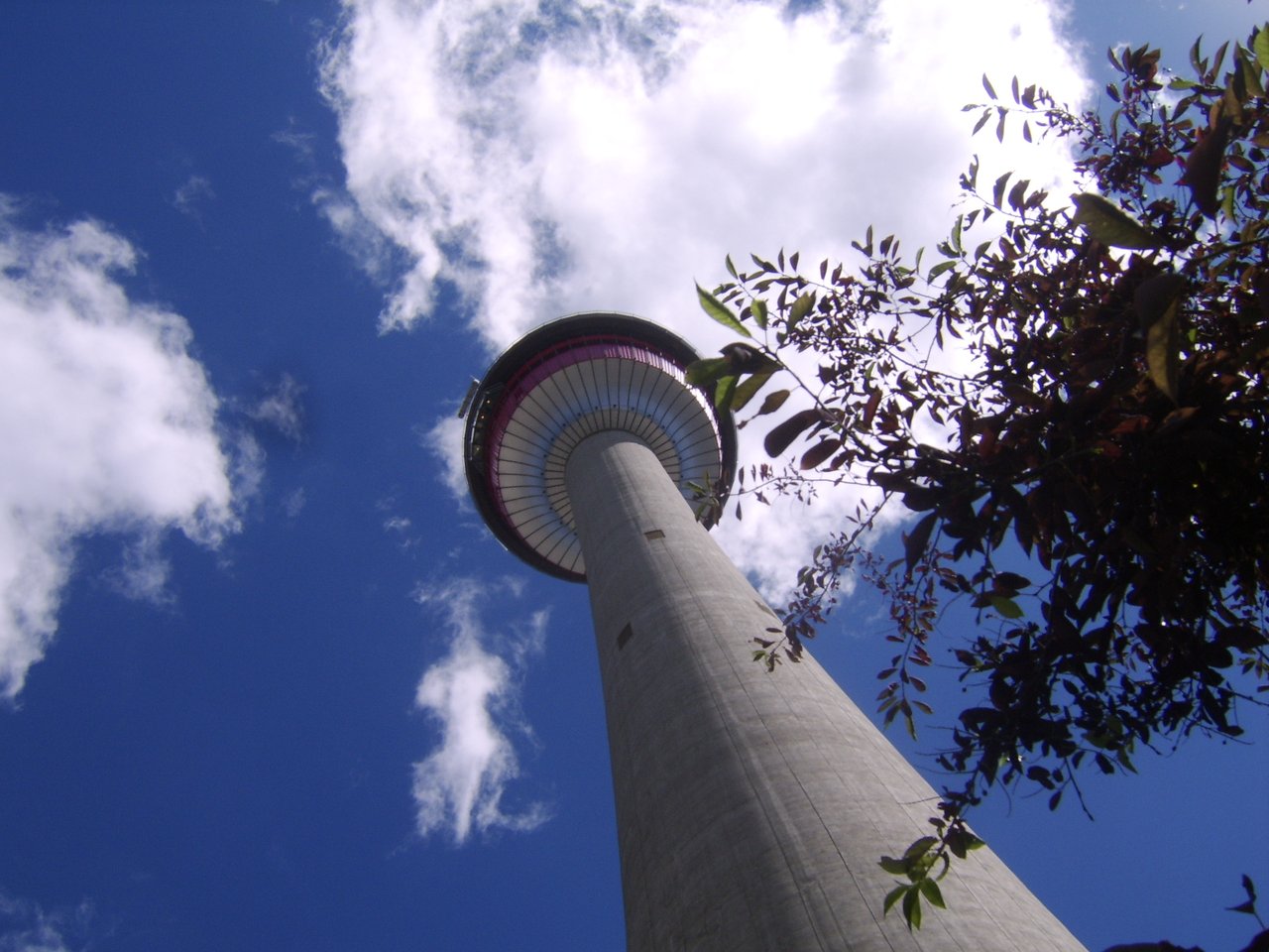 The Calgary Tower rising above downtown rooftops under a bright blue prairie sky