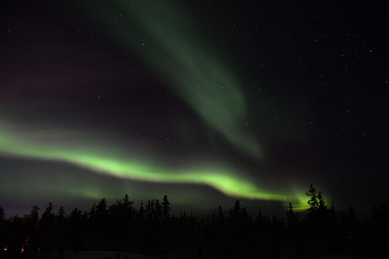 Aurora borealis glowing green over a snowy forest near Yellowknife, Northwest Territories