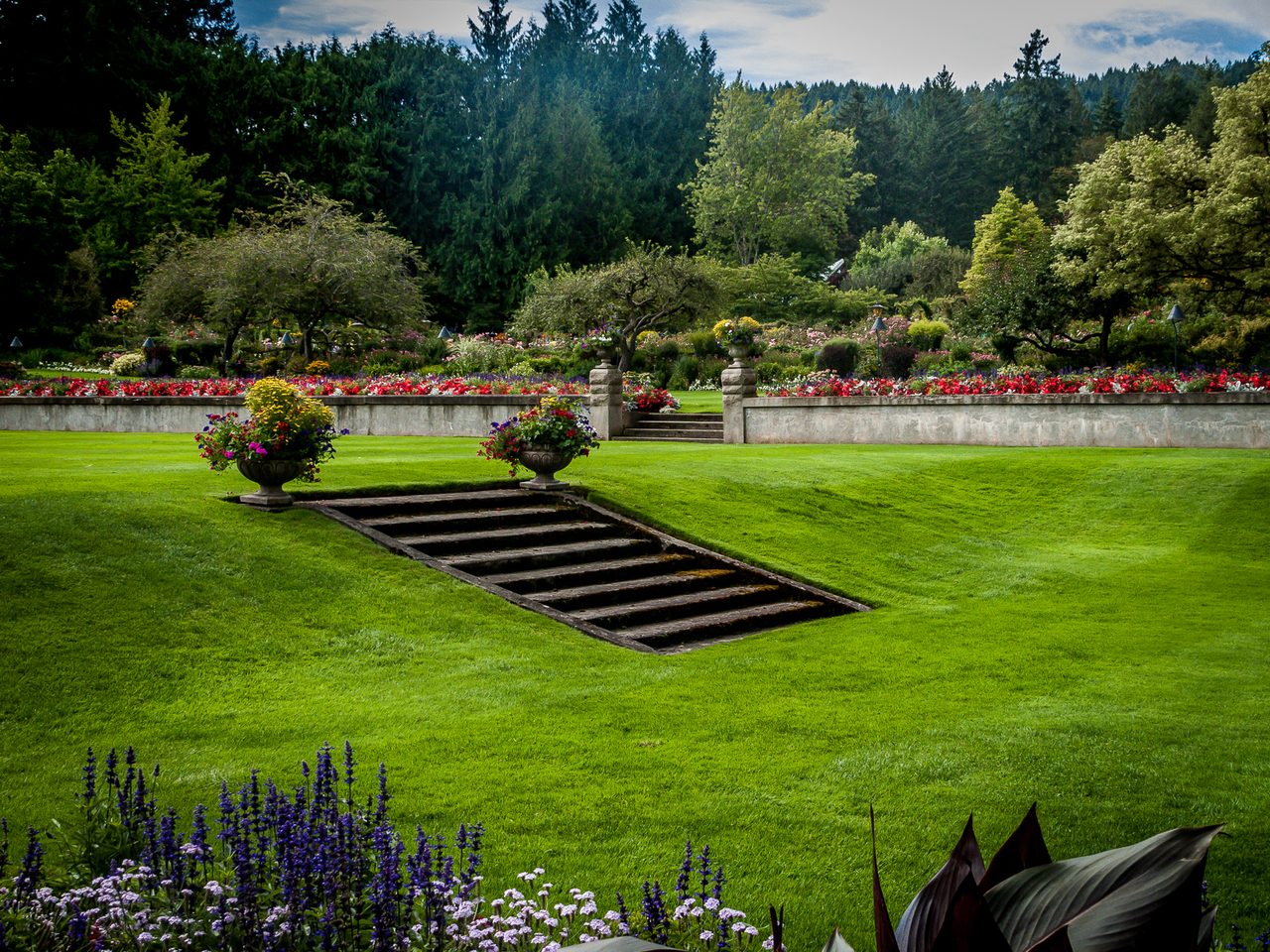 Terraced flower beds and manicured lawns in full bloom at Butchart Gardens near Victoria, BC
