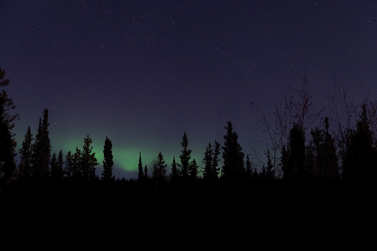 Green aurora borealis ribbons glowing over a dark northern Canadian landscape