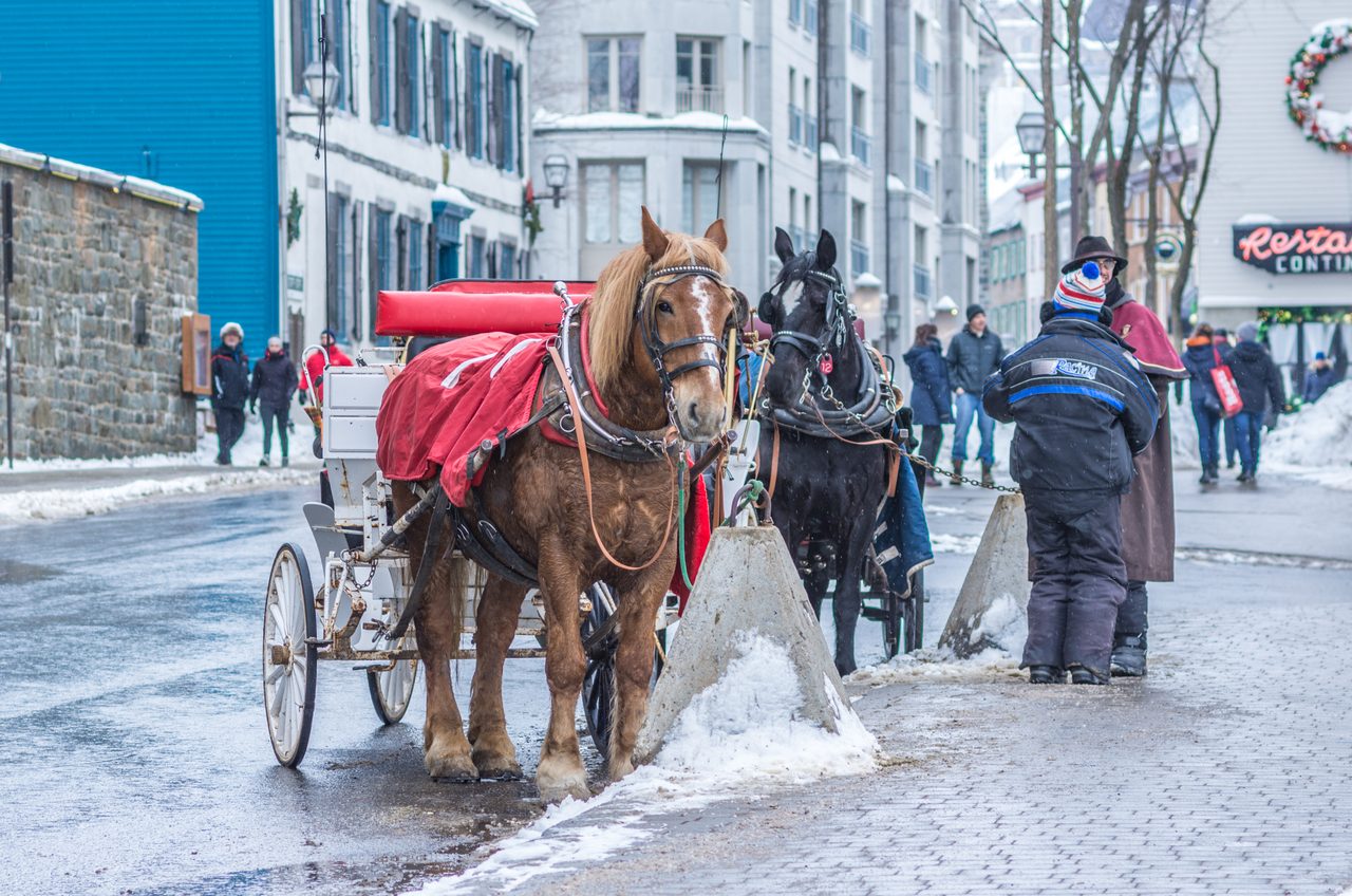 Horse-drawn carriage waiting on a snow-covered street in Old Quebec City in winter