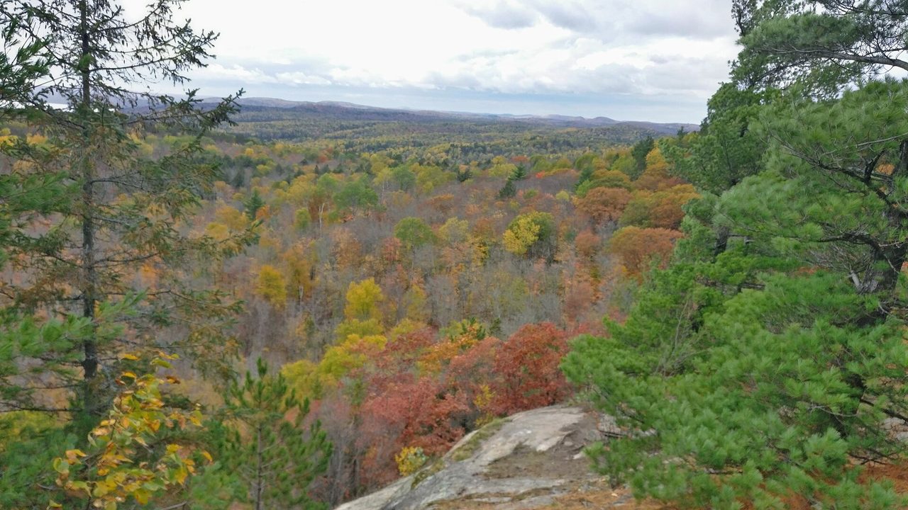 Flaming red and orange maples from the Centennial Ridges trail in Algonquin Park, Ontario