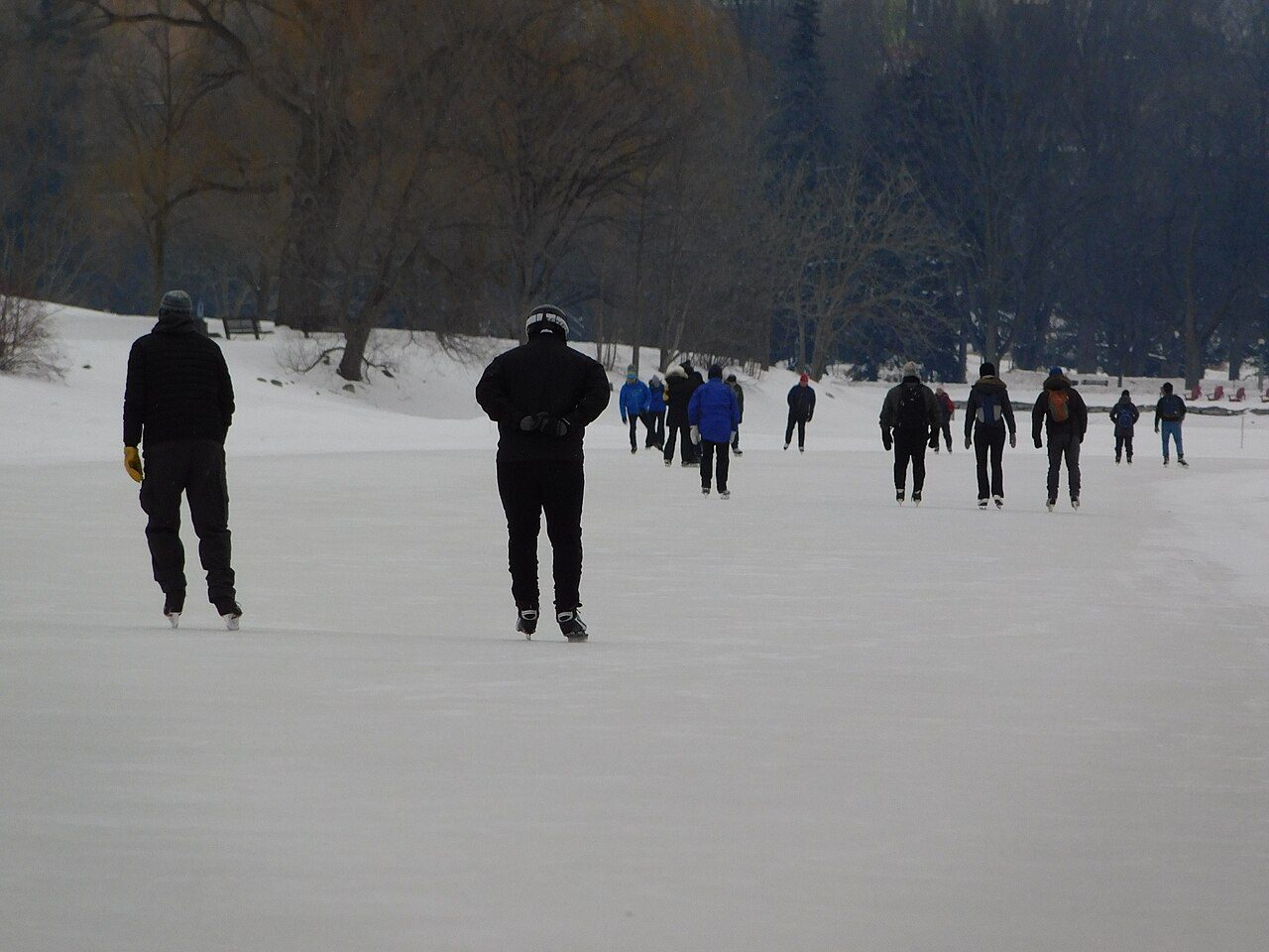 Skaters gliding along the frozen Rideau Canal in Ottawa on a sunny winter day
