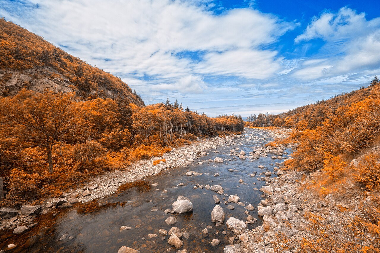 Amber and orange fall foliage lining a rocky river valley on the Cabot Trail
