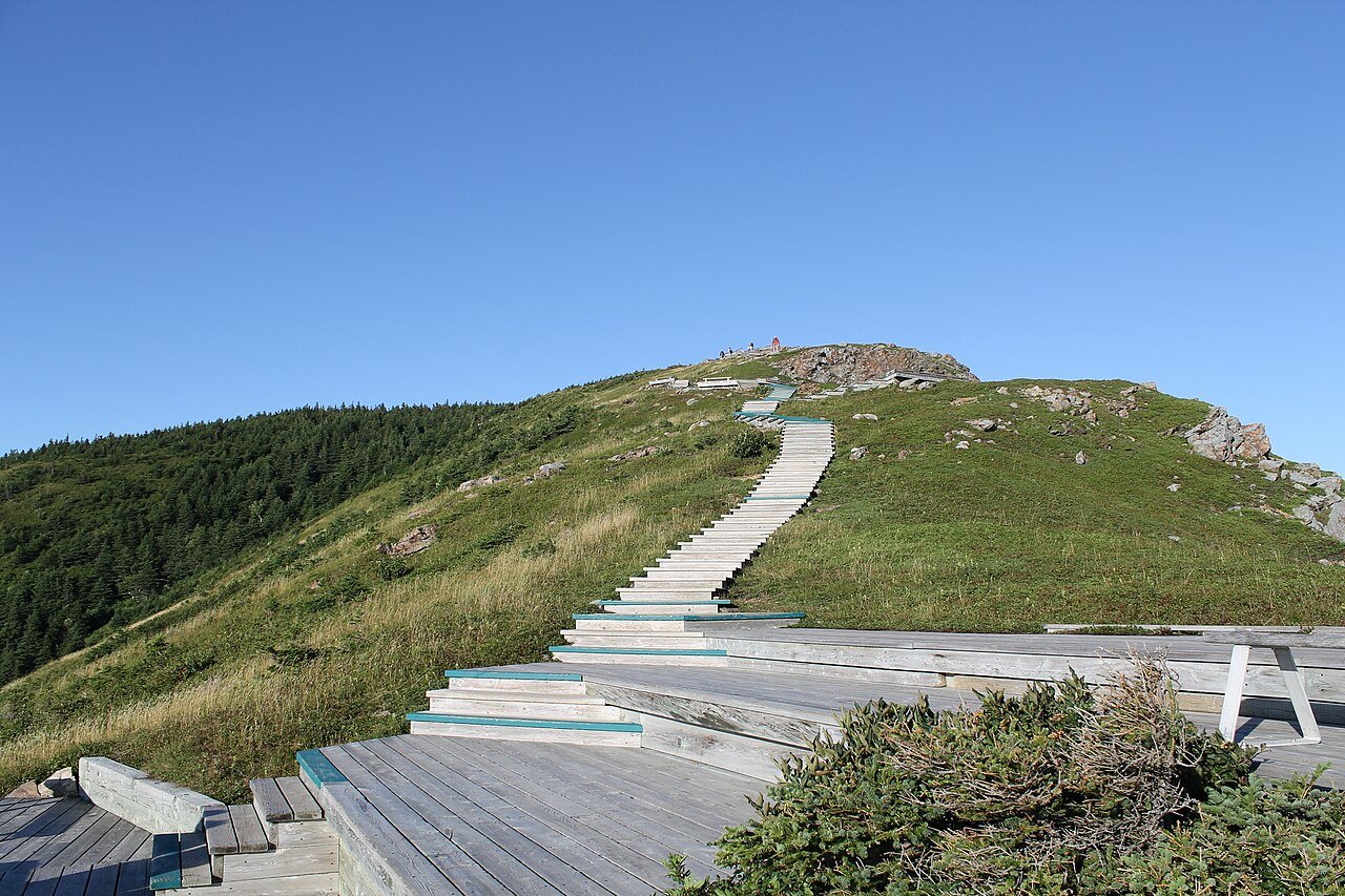 Wooden boardwalk stairs climbing to the Skyline Trail lookout in Cape Breton Highlands National Park