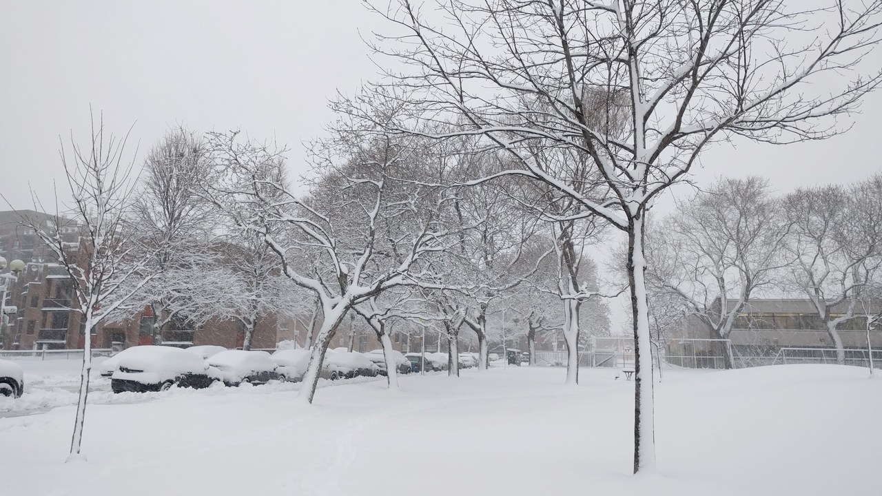 Snow falling over a quiet Montreal street in winter, Canada's off-peak travel season