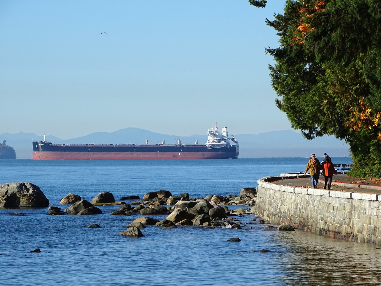 Golden autumn foliage in Stanley Park, Vancouver, during shoulder season in October