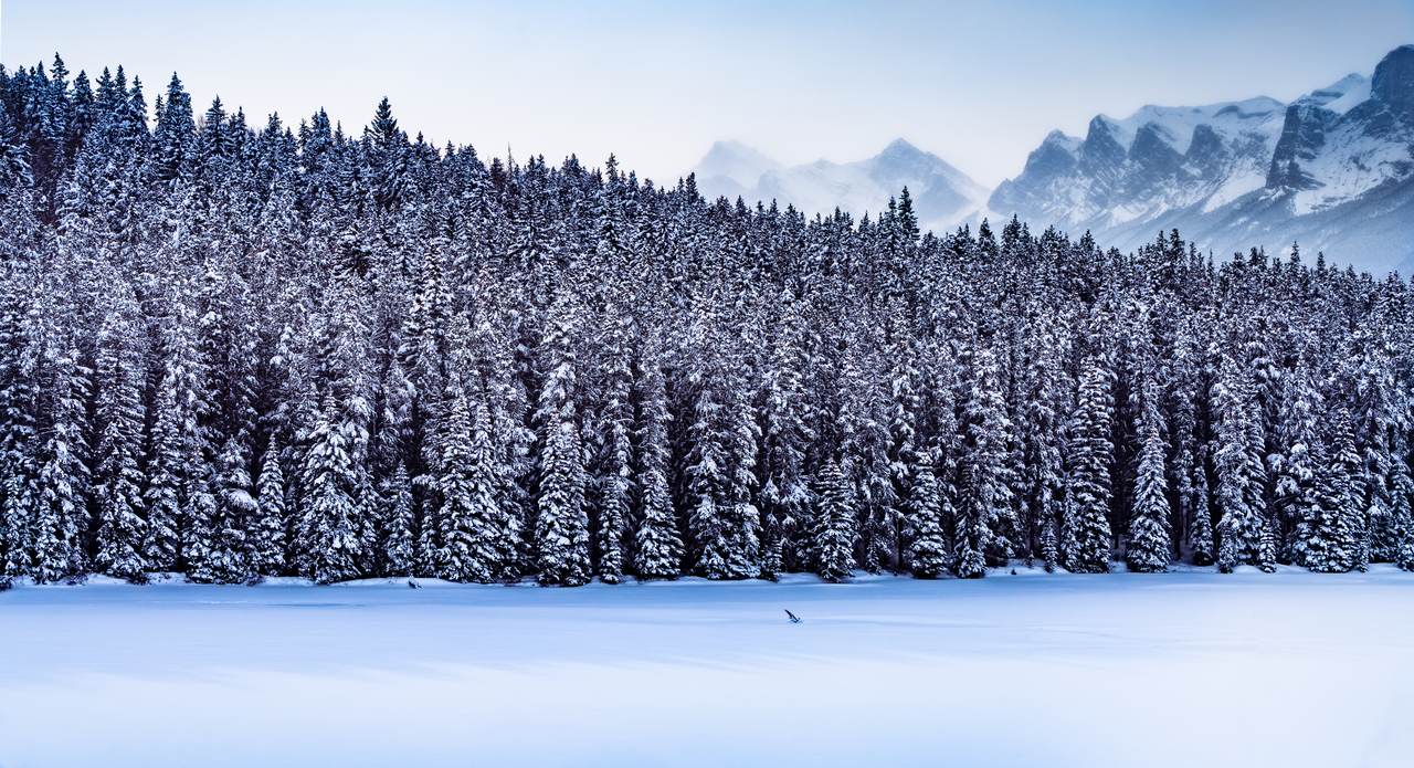 Banff townsite under a frosty early-winter sky with snow on the rooftops