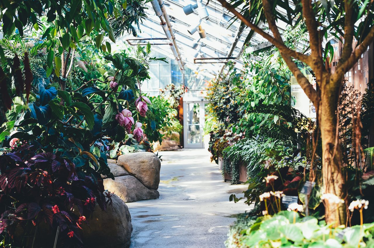 Lush greenhouse and gardens at the Montreal Botanical Garden