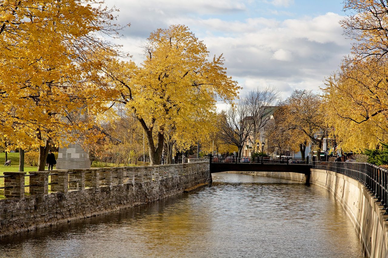 Golden-yellow poplar trees lining the Lachine Canal in fall, with a bridge over calm water