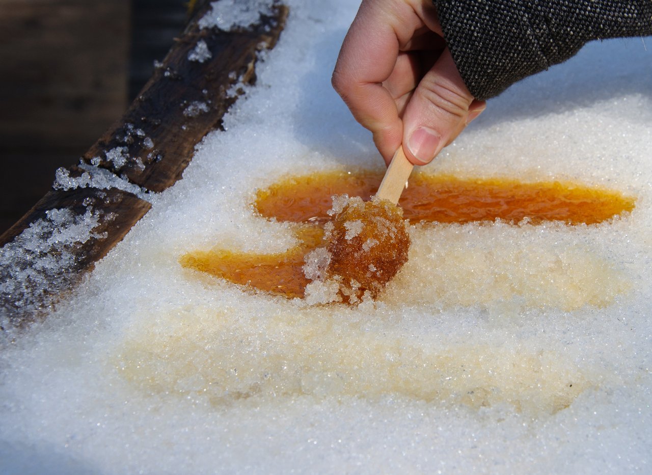 Maple taffy popsicles rolled on sticks