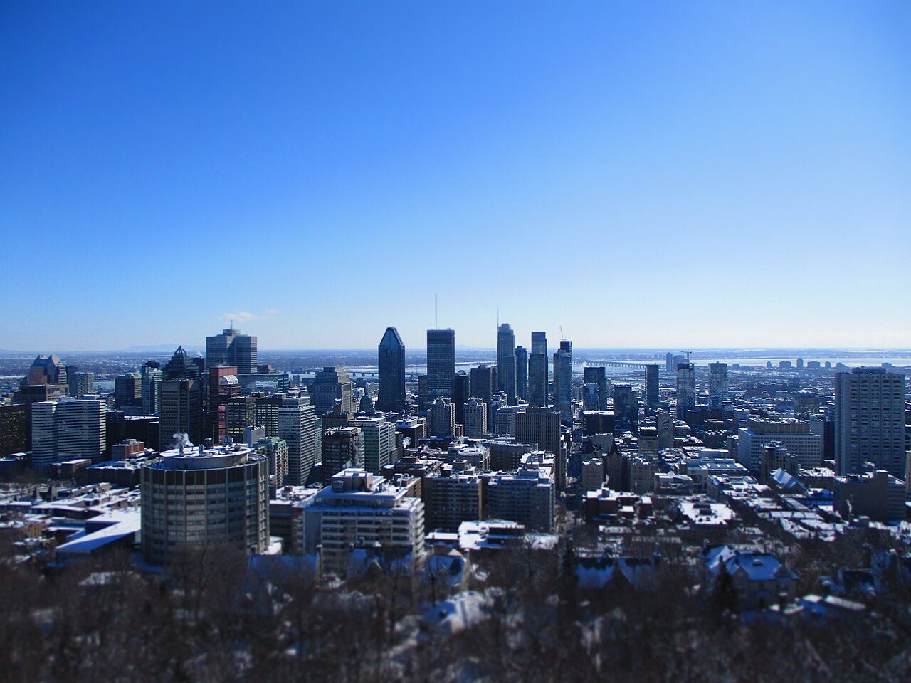 Montreal skyline seen from the Kondiaronk Belvedere on Mount Royal on a clear summer day