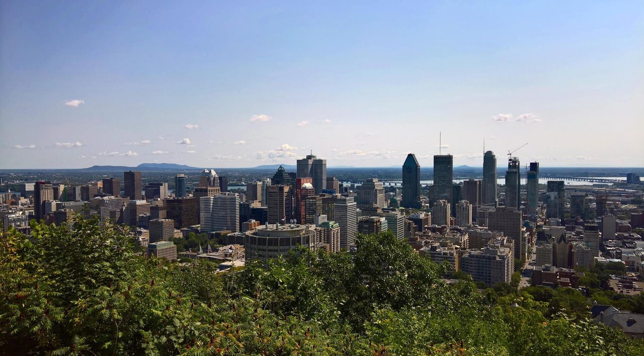Downtown Montreal skyline seen from Mount Royal Park, with green treetops in the foreground