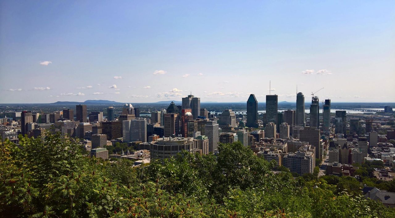 Downtown Montreal skyline seen from the Mount Royal lookout above green treetops