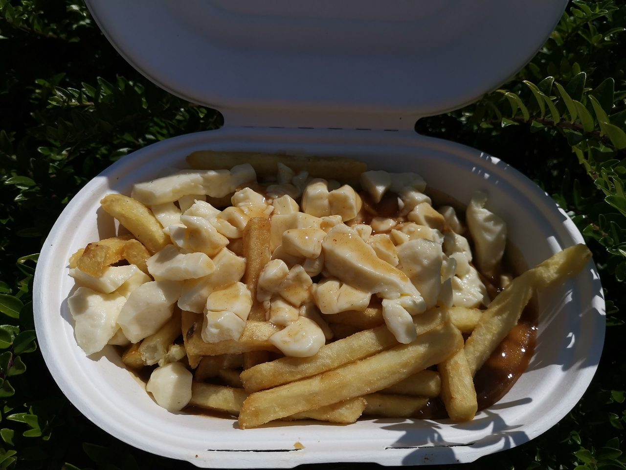 A classic poutine with cheese curds and rich gravy served in a bowl