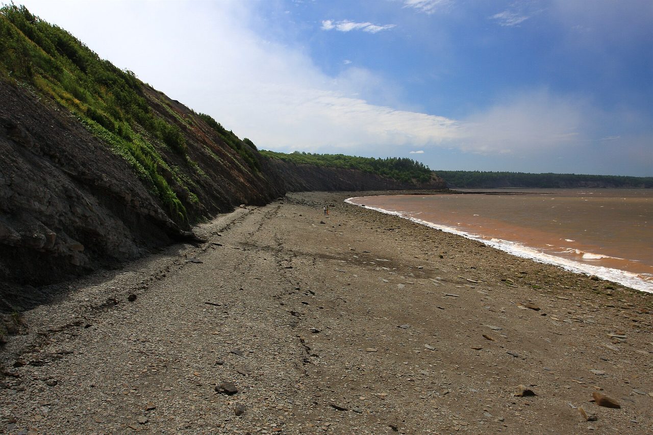 Layered sandstone fossil cliffs at Joggins on the Bay of Fundy shoreline