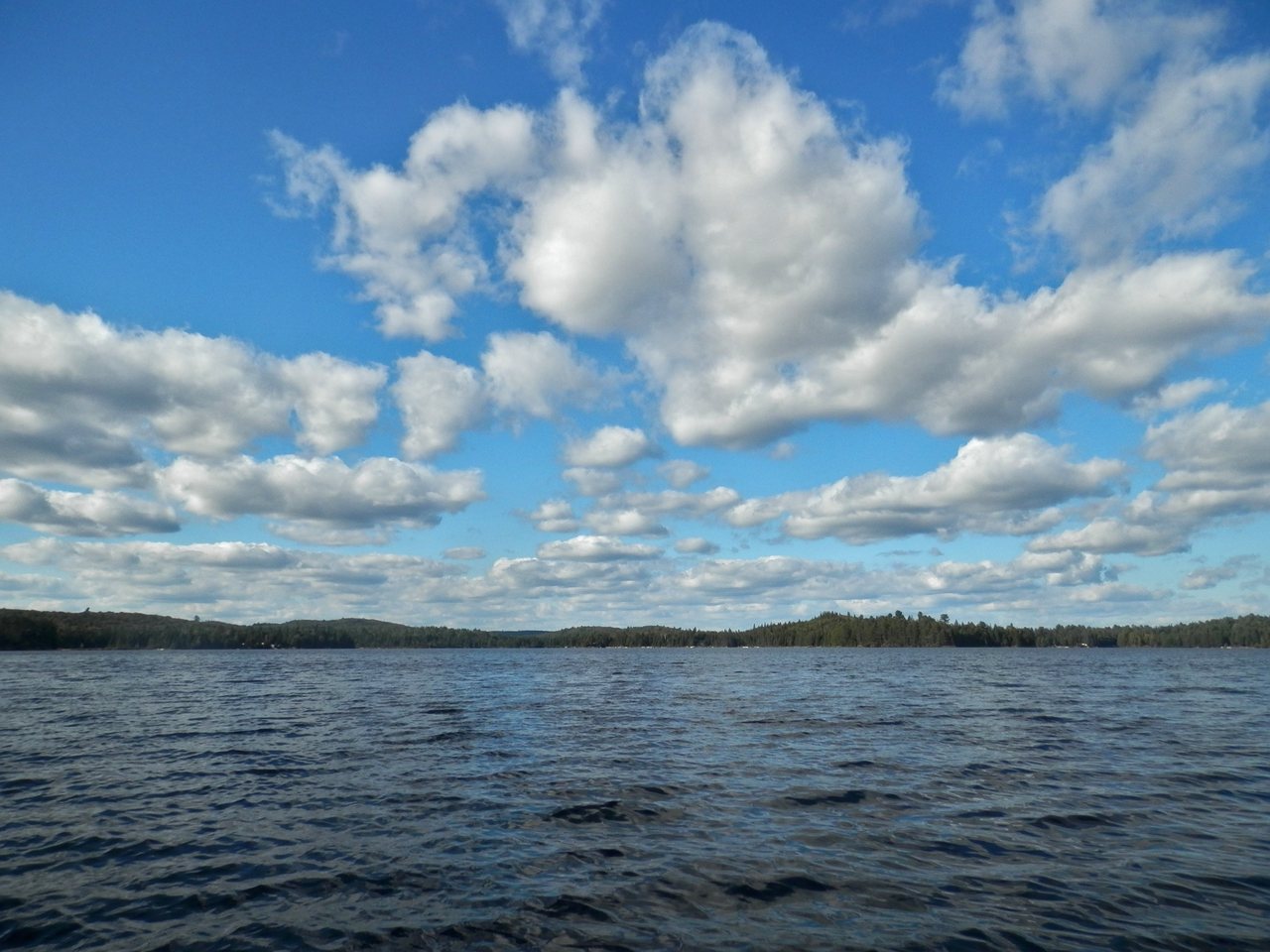 Canoe Lake in Algonquin Provincial Park with forested shoreline under a clear sky