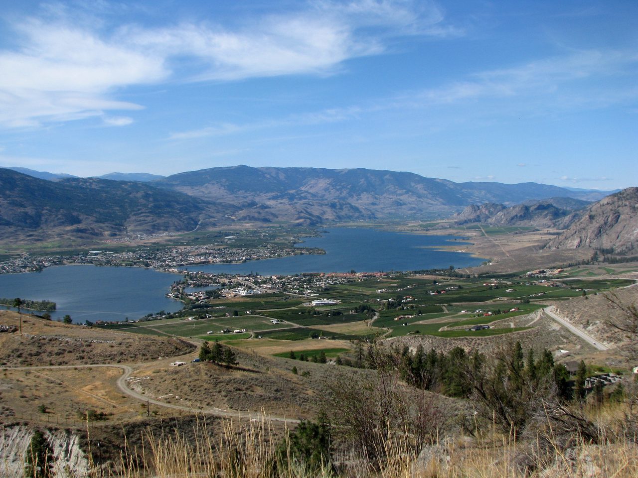 Vineyards sloping down to the lake at Osoyoos in the Okanagan Valley