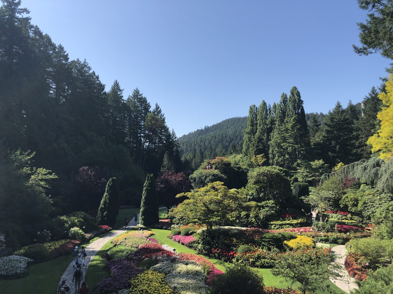 The Sunken Garden at Butchart Gardens with colourful flowerbeds filling the old quarry pit