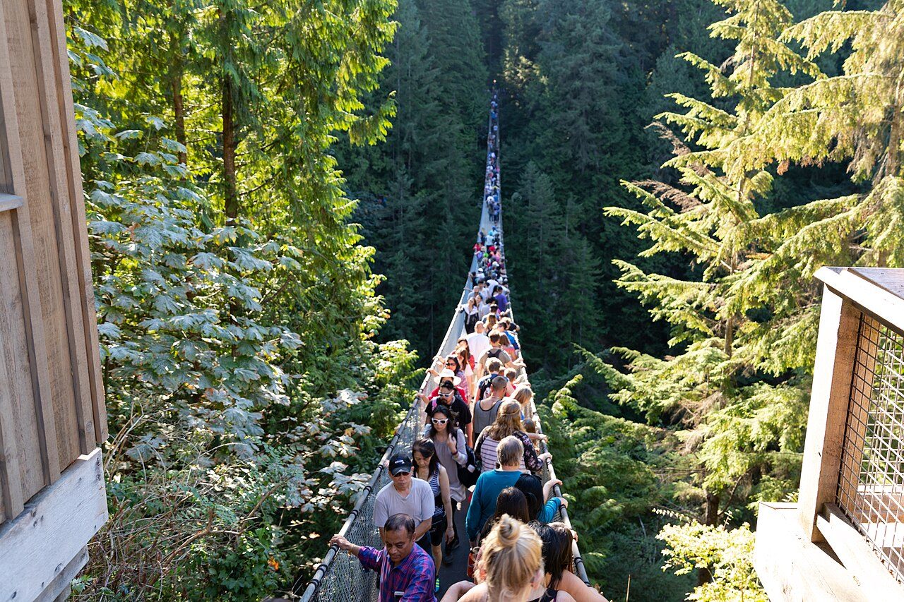 Aerial view of the Capilano Suspension Bridge spanning the forested canyon